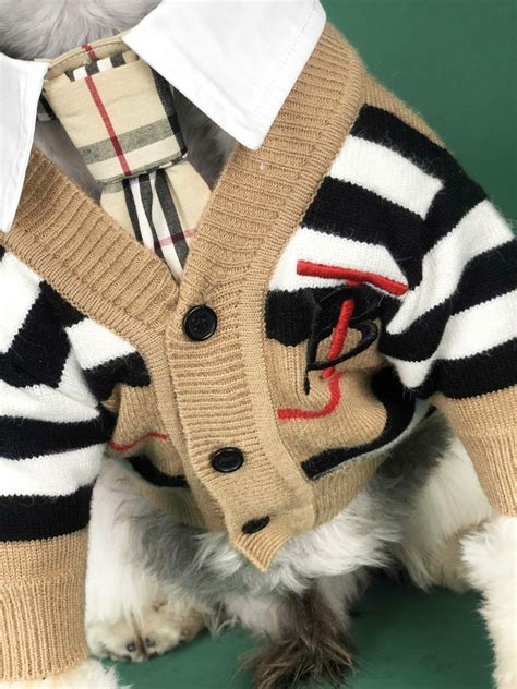 burberry dog sweater small|burberry jumpers for men.